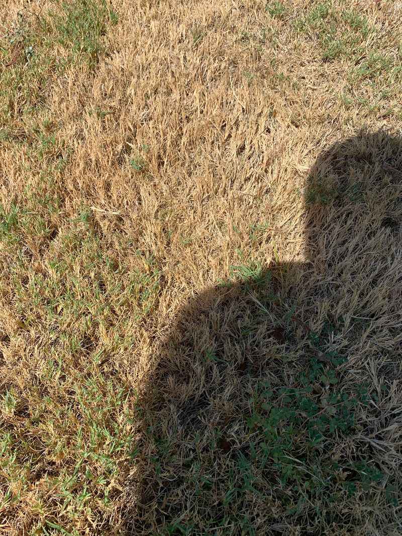 Look For Missed Irrigation Zones