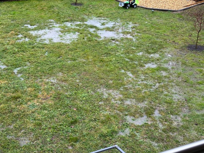 Look For Waterlogged Spots
