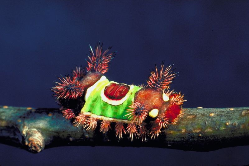 Looks Harmless, But Isn't Looks Harmless, But Isn't