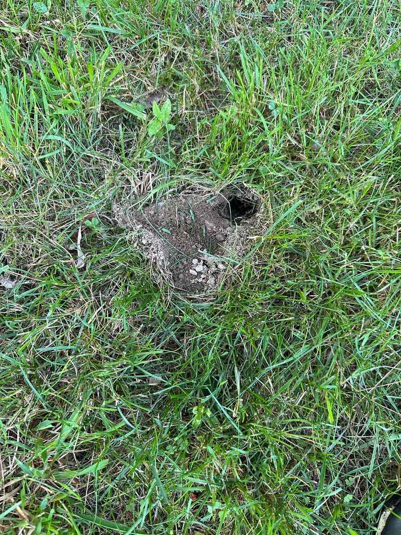 Loose Soil Makes Yard Areas Easier To Dig