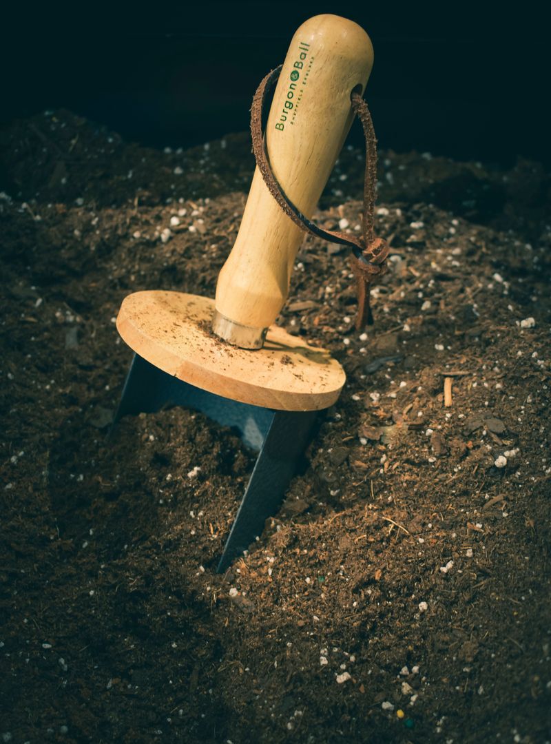 Loosen Soil To Improve Drainage Loosen Soil To Improve Drainage