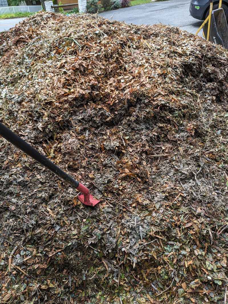Loosening The Crust Ahead Of The Next Storm