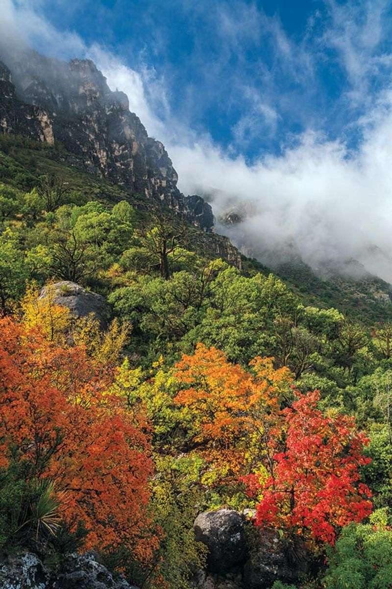 Lost Maples Shows Just How Dramatic It Can Be