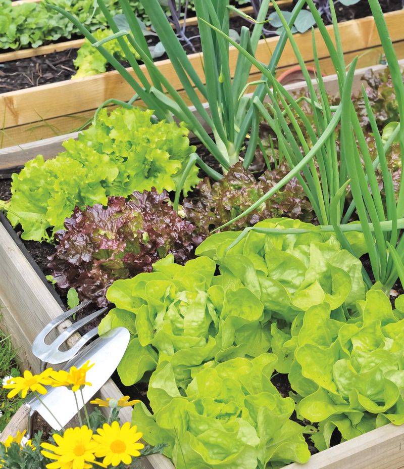 Low-Lying Areas Can Be Risky For Fall Planting Low-Lying Areas Can Be Risky For Fall Planting