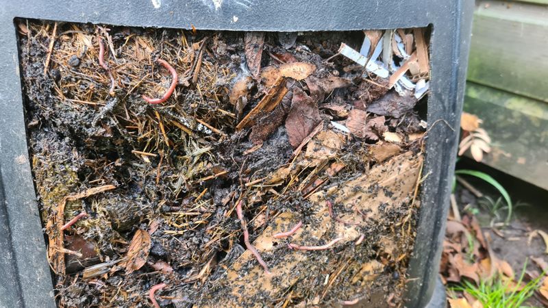 Maintaining Compost Through The Rest Of Summer