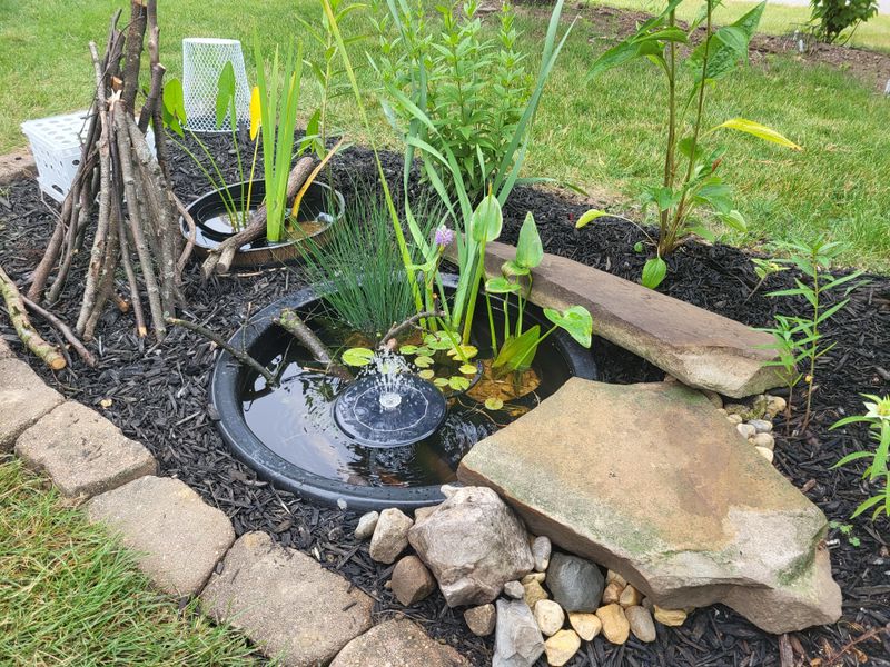 Maintenance Tips To Keep It Thriving Year-Round Maintenance Tips To Keep It Thriving Year-Round