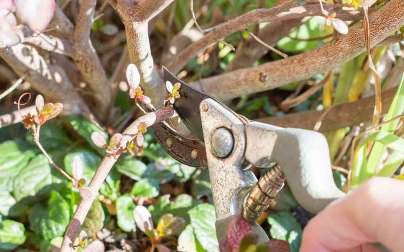 Make Each Cut Just Below A Leaf Node Make Each Cut Just Below A Leaf Node