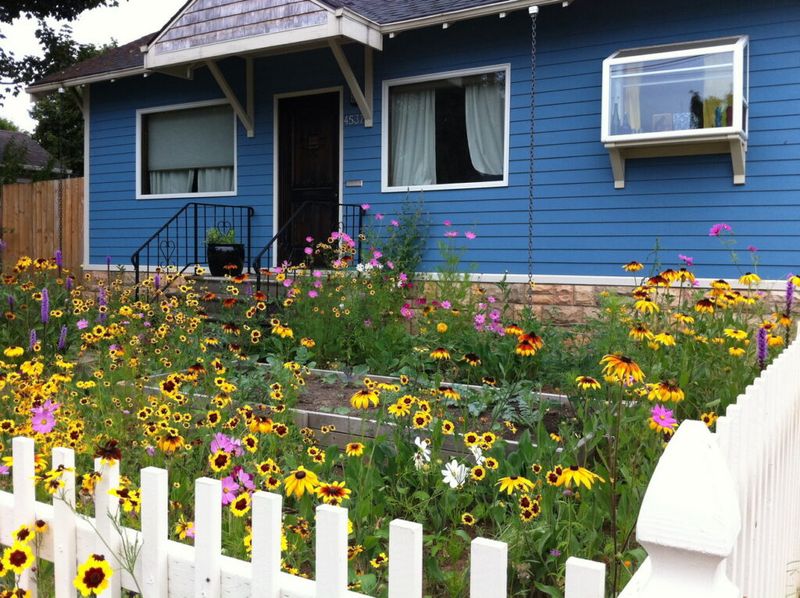 Make The Board Identify The Exact Landscaping Rule Make The Board Identify The Exact Landscaping Rule