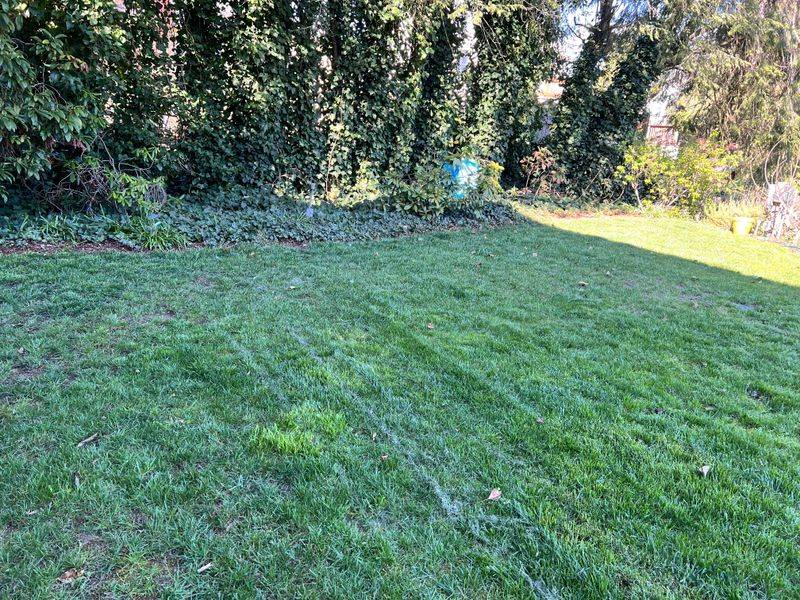 Make The First Mow Gentle