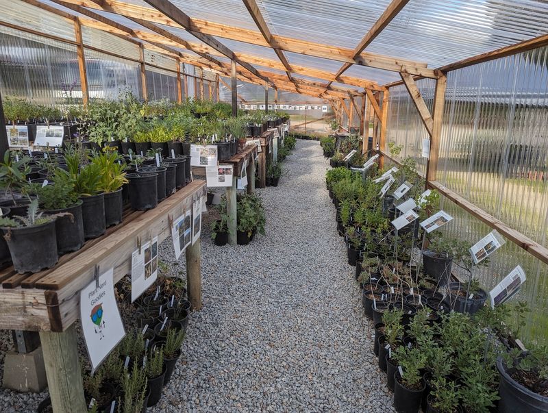 Make Time For Las Pilitas Nursery