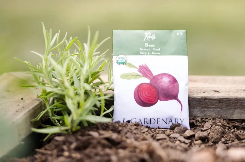 Manage Late-Summer Heat During Germination Manage Late-Summer Heat During Germination