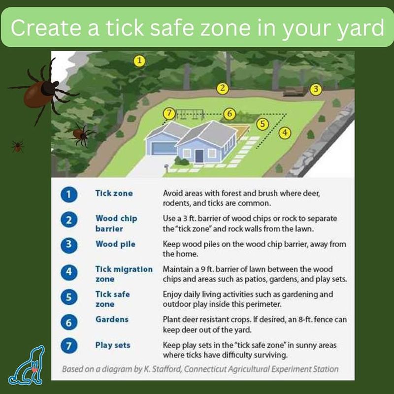 Manage The Whole Yard, Not Just One Shrub