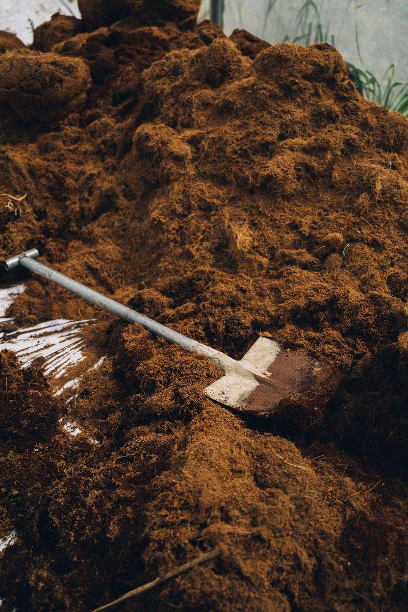 Manure Composting Enriches Garden Soil Naturally Manure Composting Enriches Garden Soil Naturally