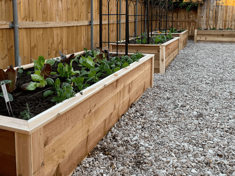 Match Fertilizer To The Crop And Soil
