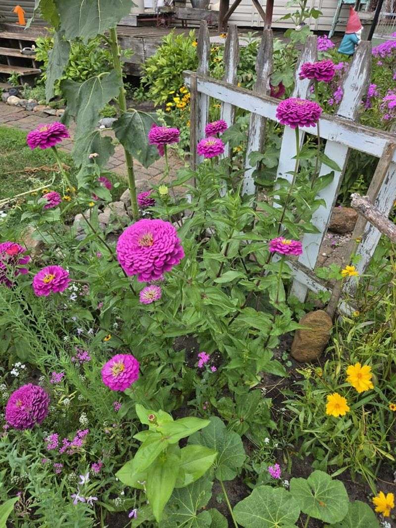 Match Natives To Your Soil