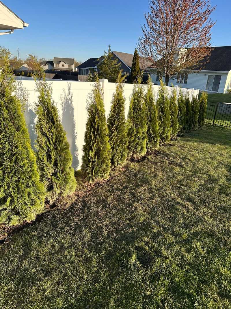 Mature Size Helps You Avoid A Future Fence-Line Mistake