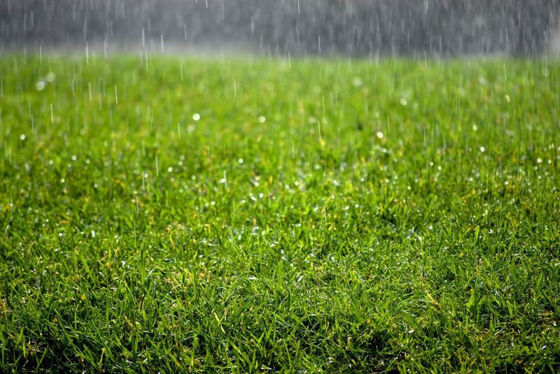 Measure How Much Rain Actually Fell