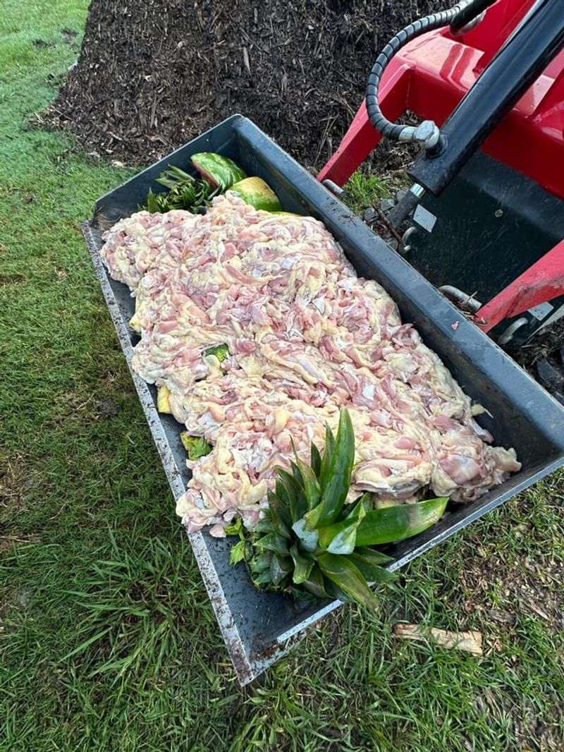 Meat And Fatty Scraps Make A Compost Pile More Attractive To Animals