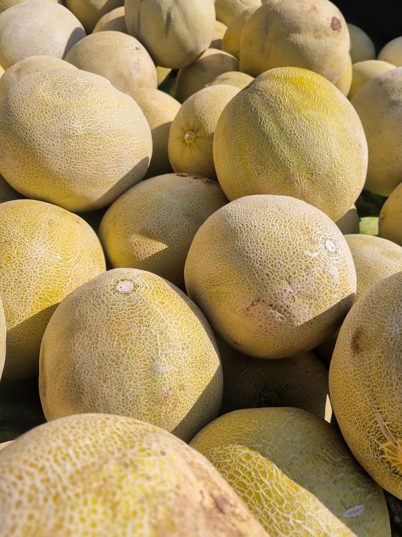 Melons Melons