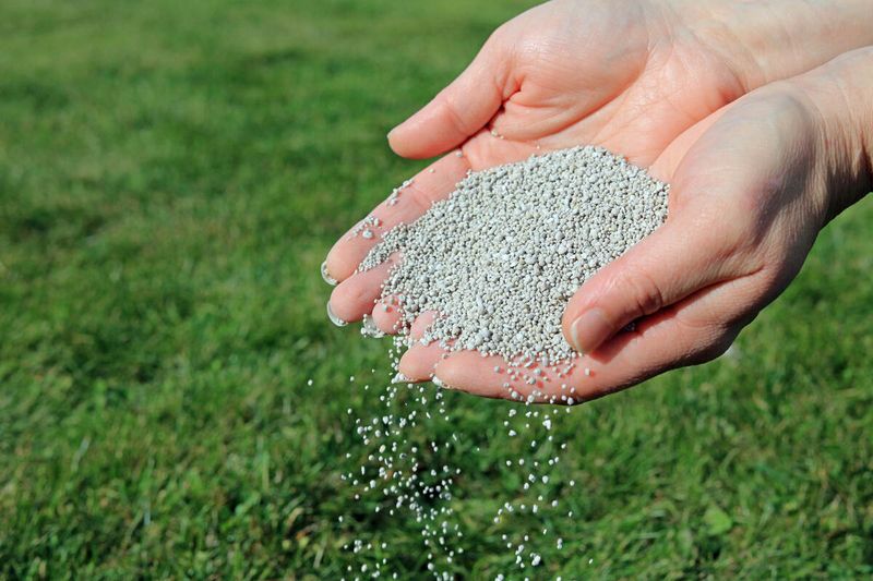 Mid-September Can Bring The First Fall Feeding