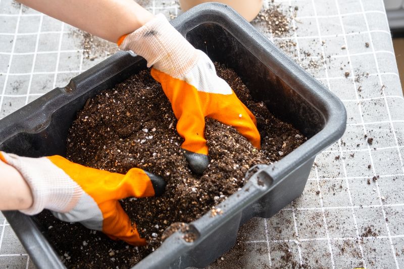 Mix It Into The Bed Instead Of Leaving A Thick Pile Mix It Into The Bed Instead Of Leaving A Thick Pile