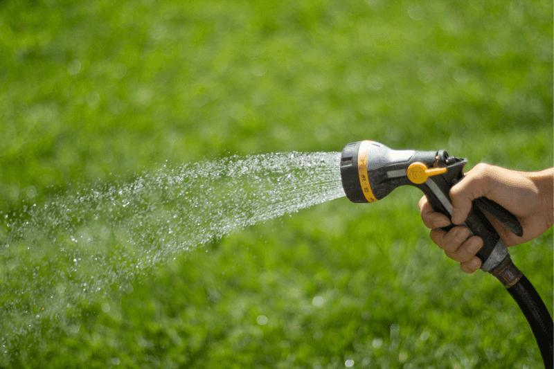 Moisture Becomes Critical Once The Seed Goes Down Moisture Becomes Critical Once The Seed Goes Down