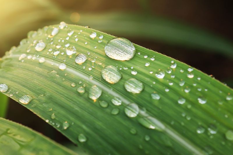 Moisture Evaporates Faster In Kentucky's Summer Heat Moisture Evaporates Faster In Kentucky's Summer Heat
