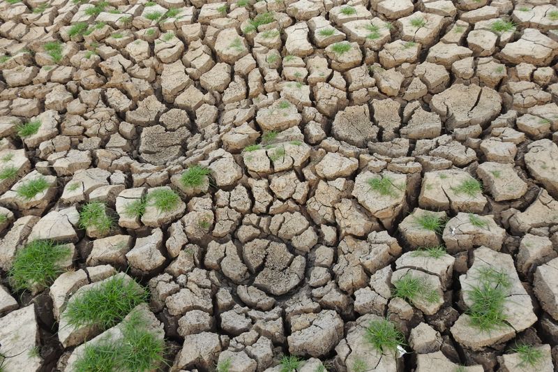 Moisture Retention Is Lower Than Surrounding Areas Moisture Retention Is Lower Than Surrounding Areas