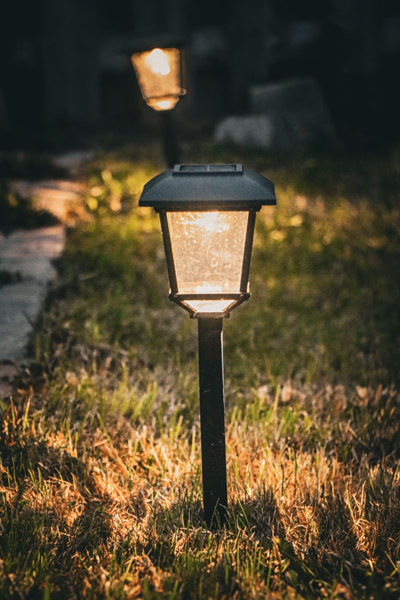 Monitor Lawn Areas Near Lights And Gardens Monitor Lawn Areas Near Lights And Gardens