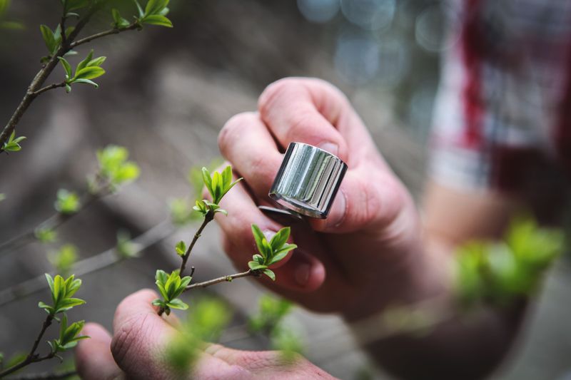 Monitor New Growth For Reinfestation Signs