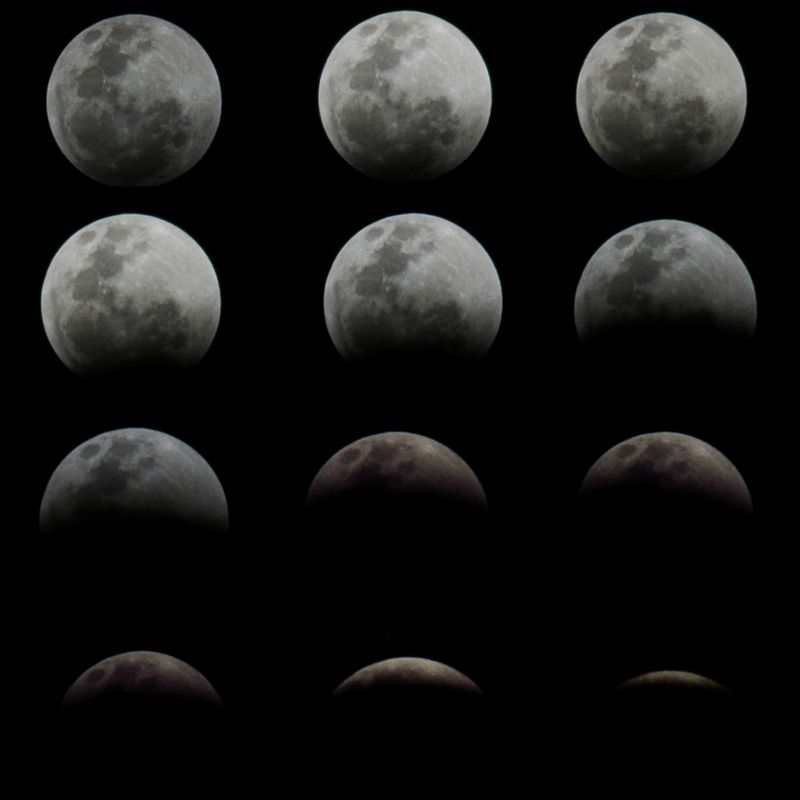 Moon Phase Timing Guides Seed Planting Moon Phase Timing Guides Seed Planting