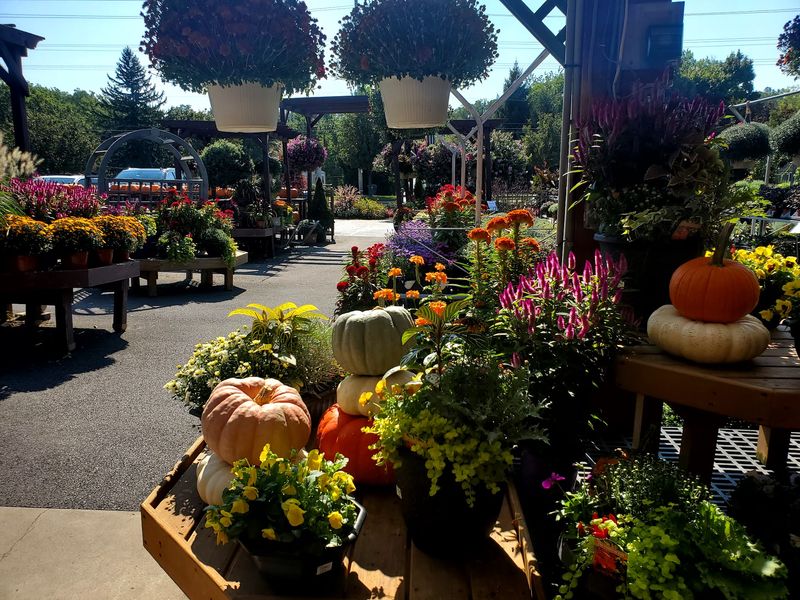 Mostardi Nursery - Newtown Square Mostardi Nursery - Newtown Square