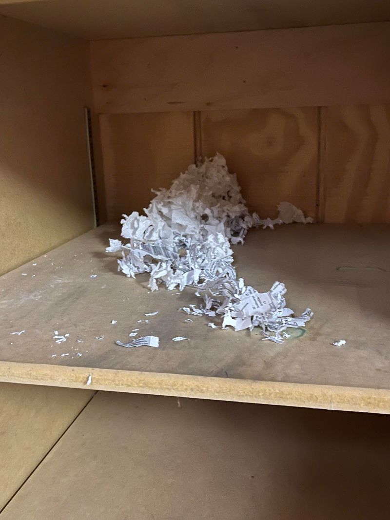 Mouse Nests Packed Into Garages And Storage Boxes