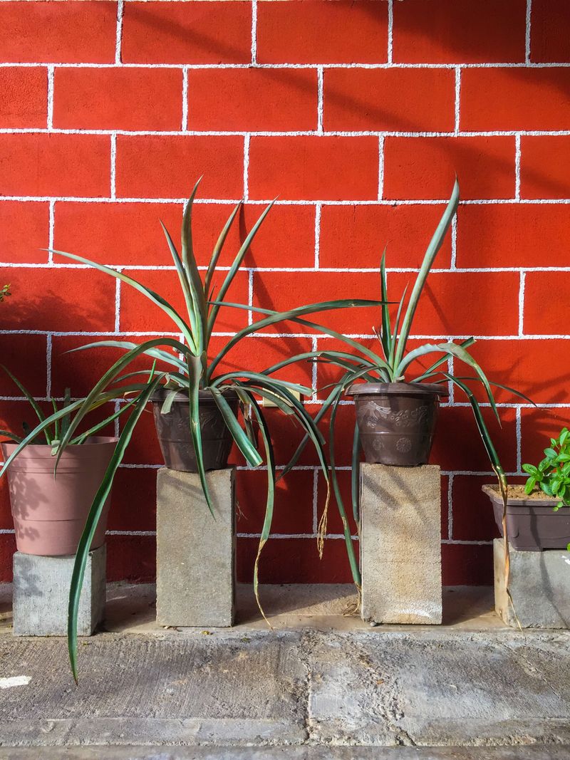 Move Containers Away From Reflected Heat Move Containers Away From Reflected Heat