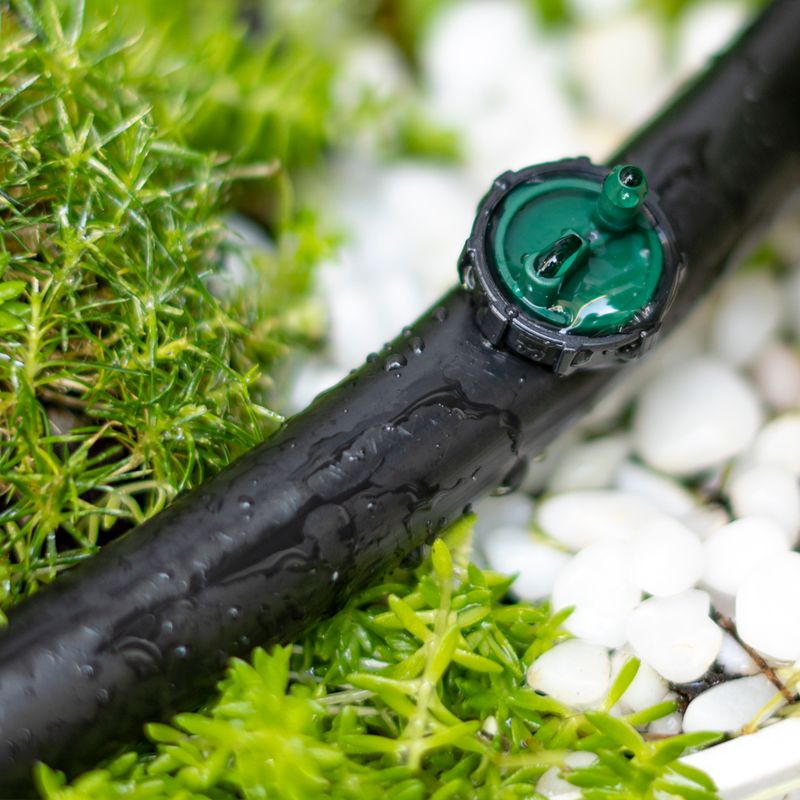 Move Drip Emitters Outward As Shrubs Grow