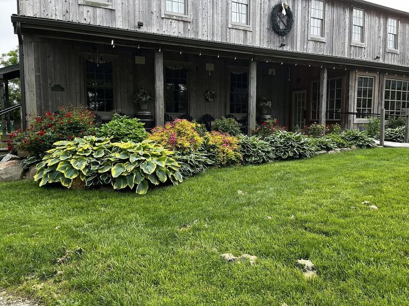 Move Favorite Plants Away From Edges