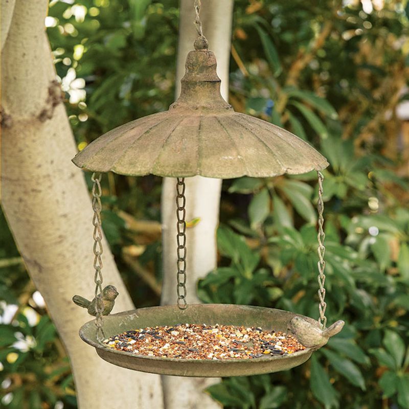 Move Feeders Away From Busy Window Areas Move Feeders Away From Busy Window Areas
