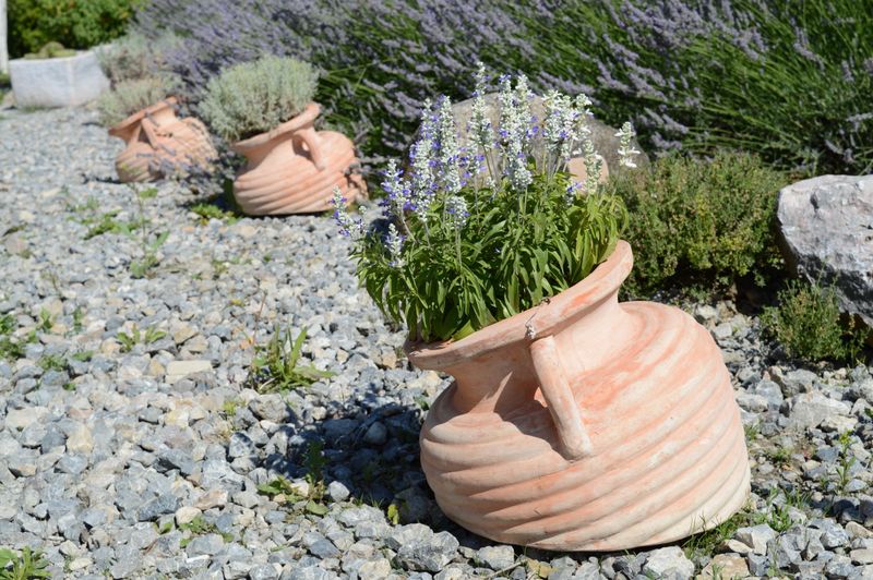 Move Pots To Better Airflow