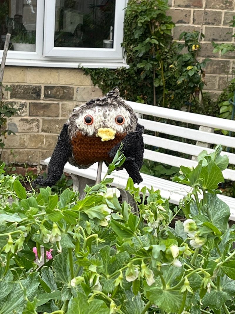 Move Scare Devices Before Birds Adjust