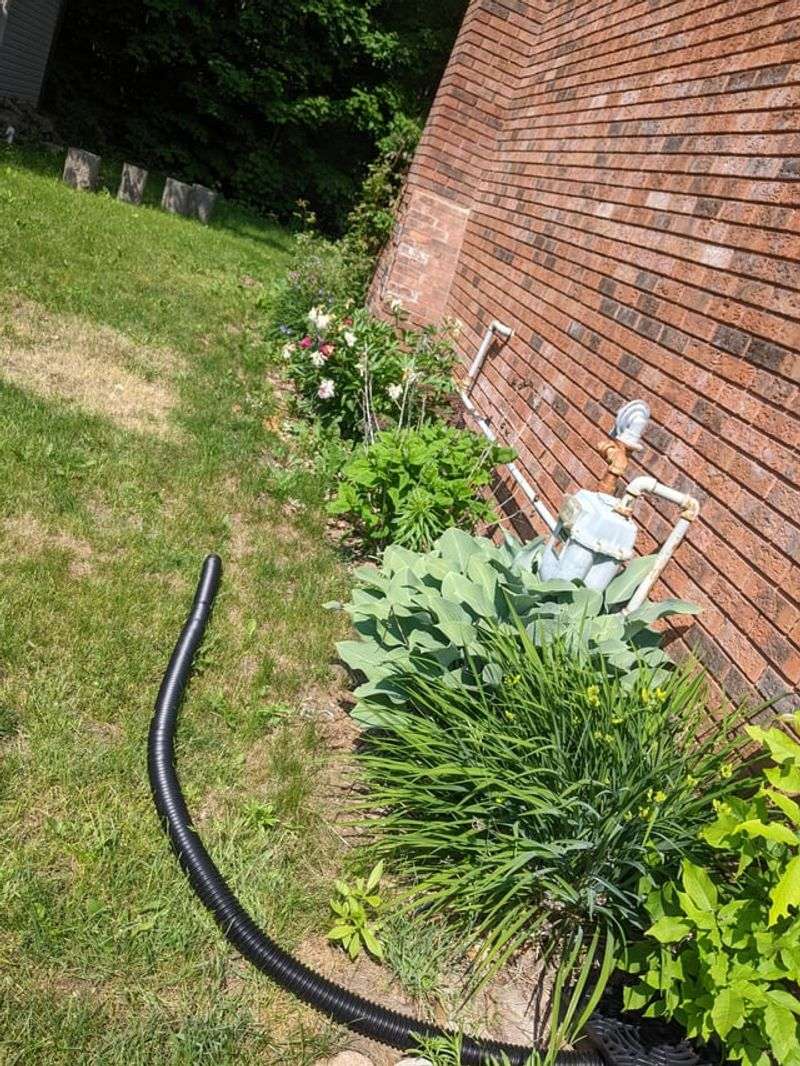 Move The Hose Around The Root Zone