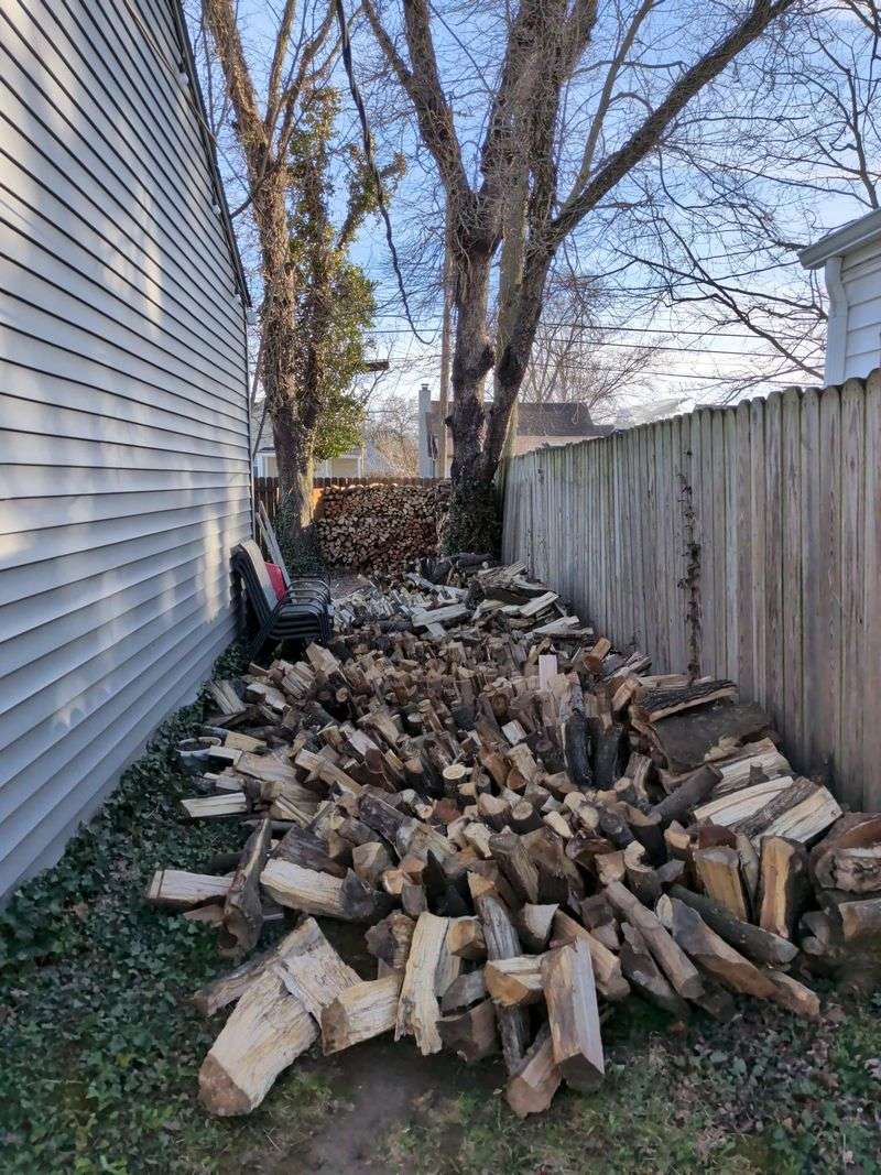 Move Woodpiles Away From Regular Hangout Spots Move Woodpiles Away From Regular Hangout Spots