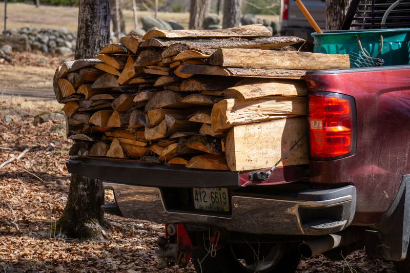 Moving Firewood, Vermont's Backyard Habit Putting Trees At Risk