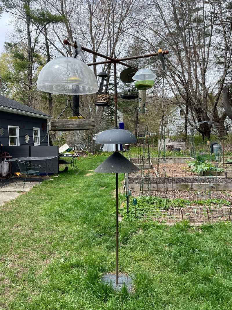 Moving The Feeder Away From Cover Changes The Whole Setup