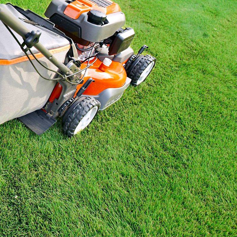 Mow At The Right Height For Better Airflow Mow At The Right Height For Better Airflow