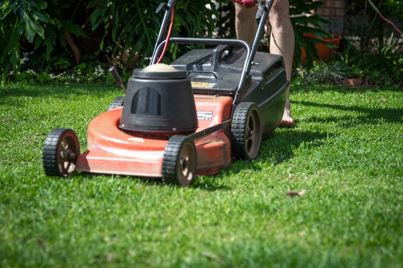 Mow High To Reduce Future Stress Mow High To Reduce Future Stress