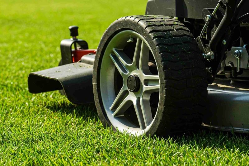 Mow St. Augustinegrass At The Recommended Height