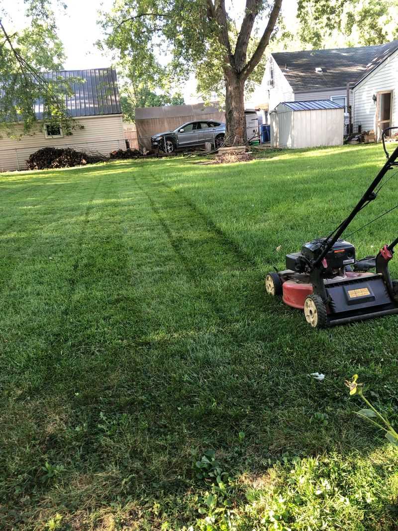 Mow The Lawn Short Before You Begin