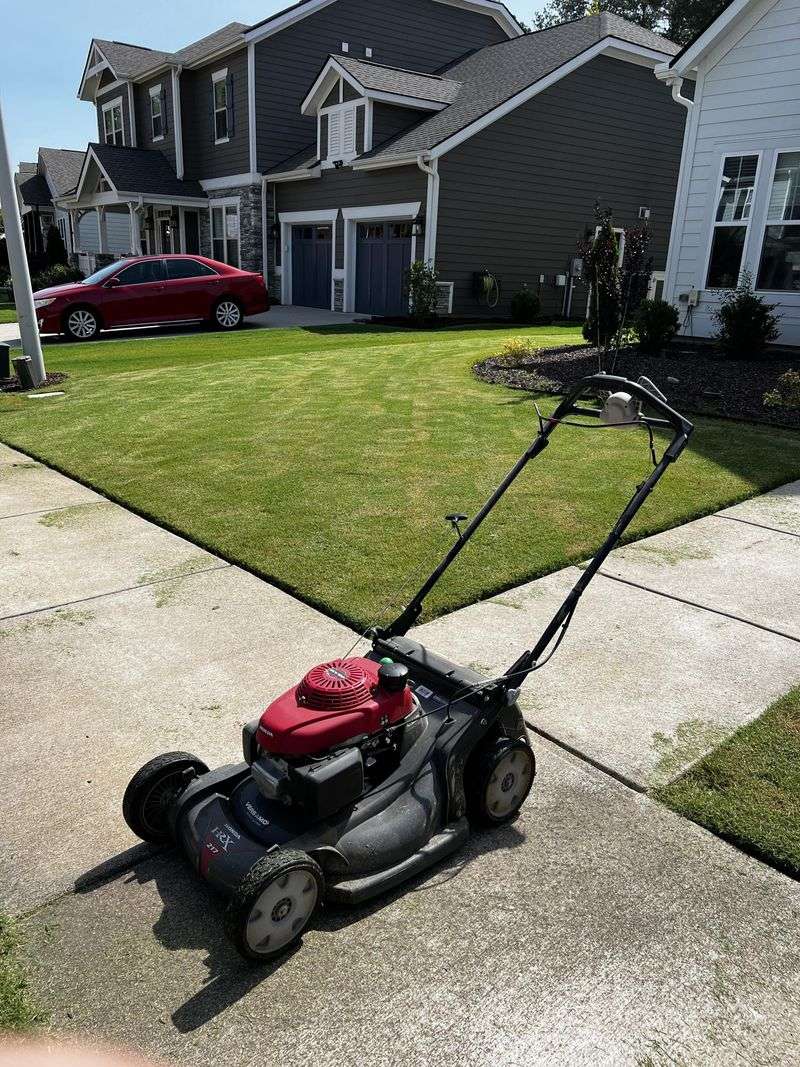 Mower Decks Can Carry The Pest From One Property To Another