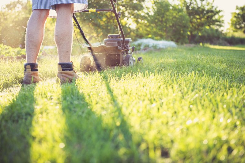 Mowing Frequency During Peak Heat