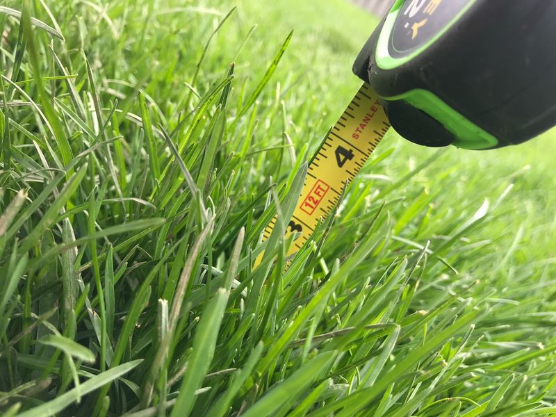 Mowing Height Should Increase Slightly Mowing Height Should Increase Slightly